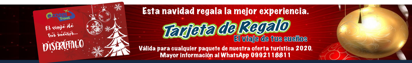 Primer Slide - Tarjeta de regalo